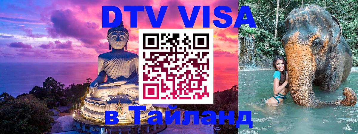 Оформление DTV визы под ключ: стоимость и тарифы, только загранпаспорт - Волжский  20.11.2025 